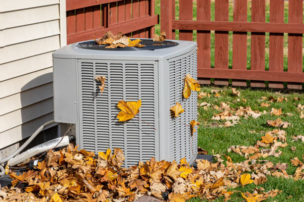 Best HVAC Air Duct Cleaning  in Bylas, AZ